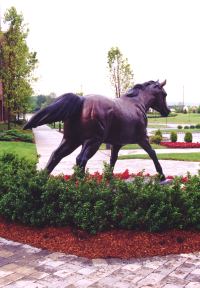 bronze equine monument sculpture by Martha Pettigrew